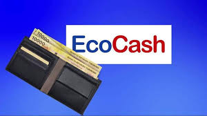 EcoCash
